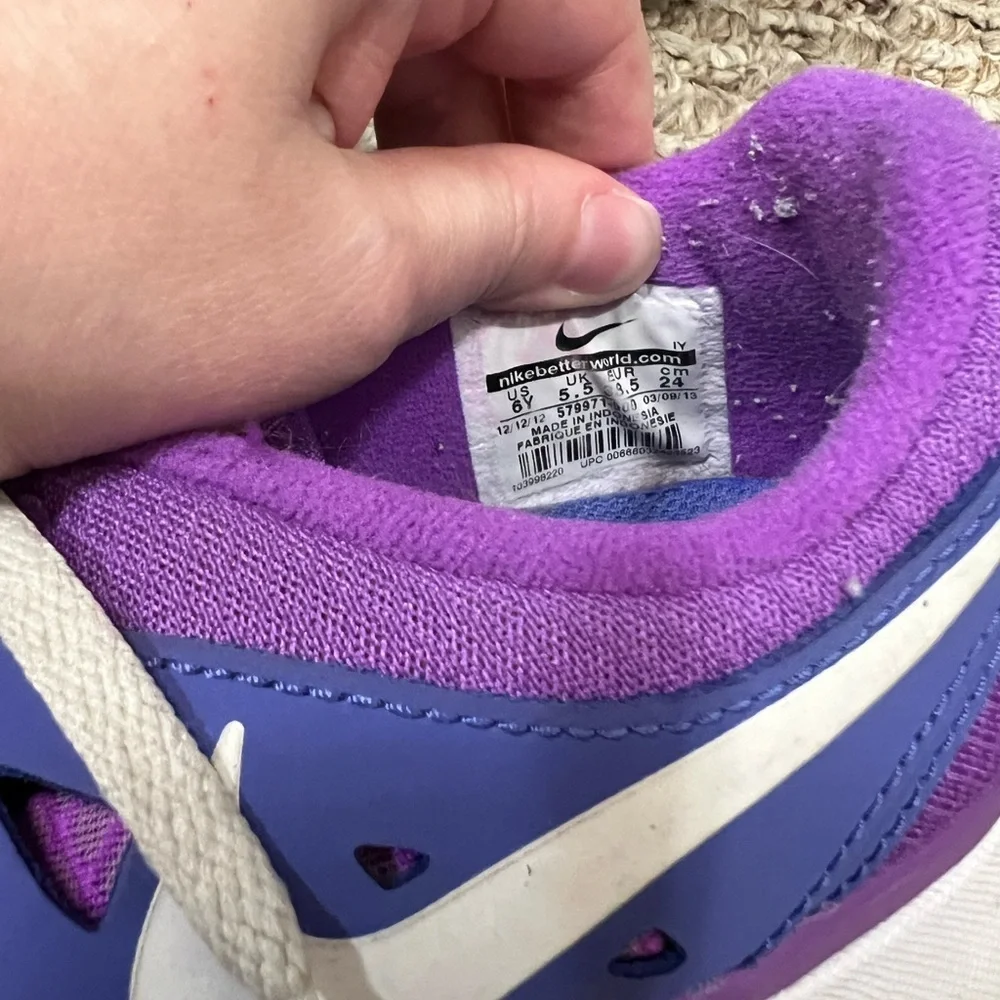 Nike Flex 2013 Run girls' youth purple and blue running shoes